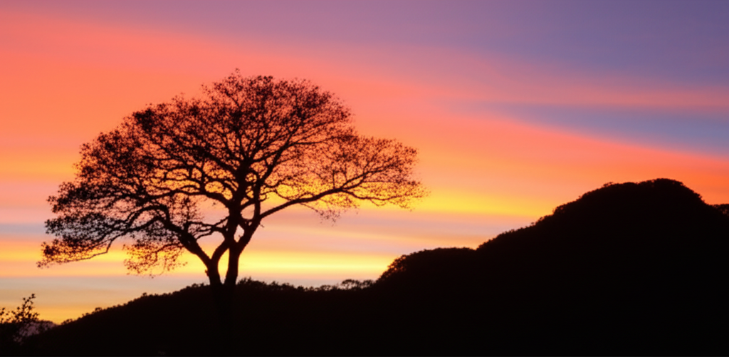 Refúgio em Tempos de Adversidade: Encontrando Segurança em Deus