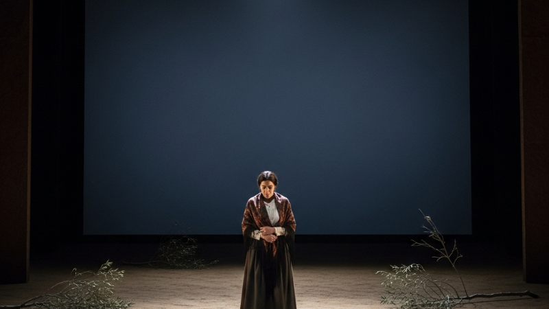 Yerma: Uma Obra-Prima da Literatura Mundial