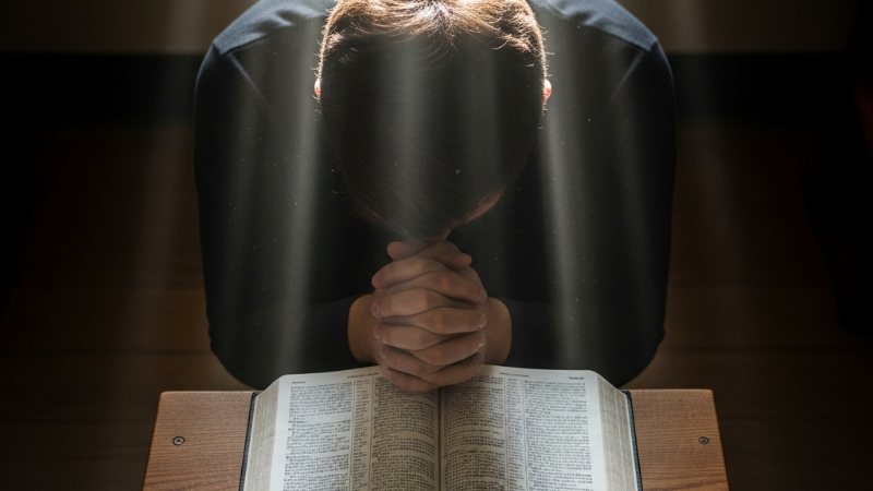 Devocional do dia: A Humildade como Caminho para a Grandeza