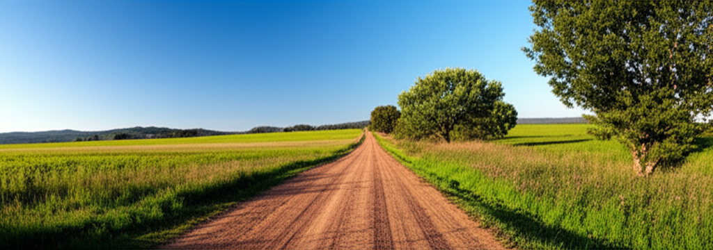 Ouvindo a Voz de Deus: Uma Reflexão sobre a Autoridade Divina
