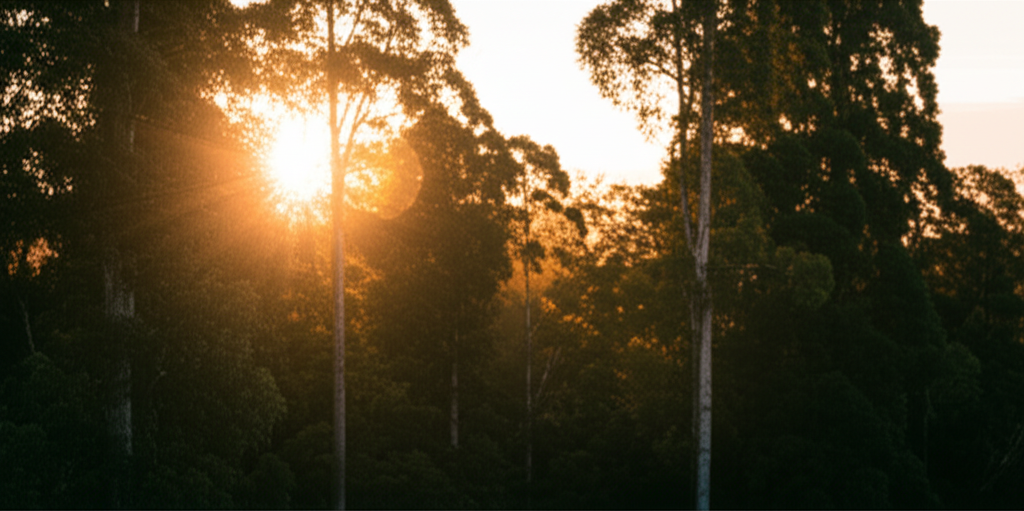 Quando o Fogo de Deus Purifica: Uma Chamada à Renovação Espiritual