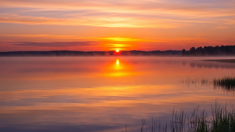 Devocional do dia: Celebração da Bondade de Deus