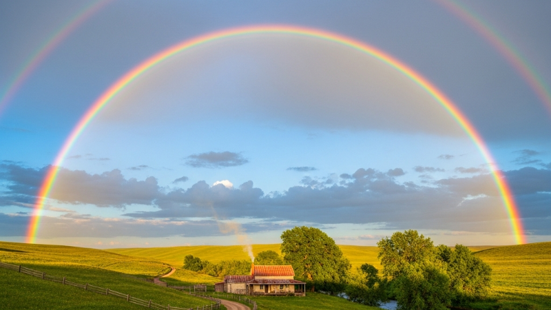 A Importância de 'O Arco-íris' de D.H. Lawrence na Literatura Mundial