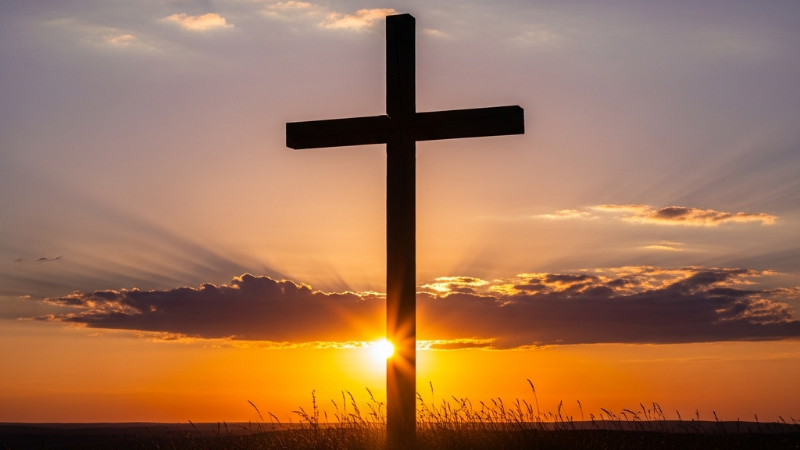 Devocional do dia: A Transformação Pela Cruz de Cristo