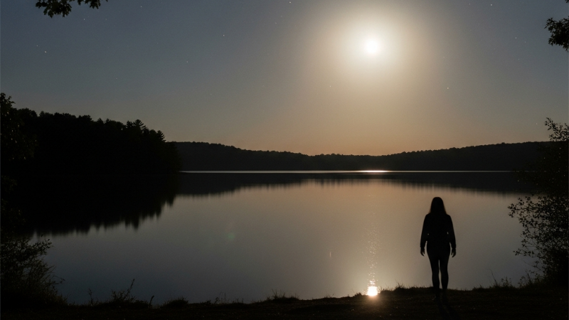 Kafka on the Shore: Um Espelho da Sociedade Japonesa