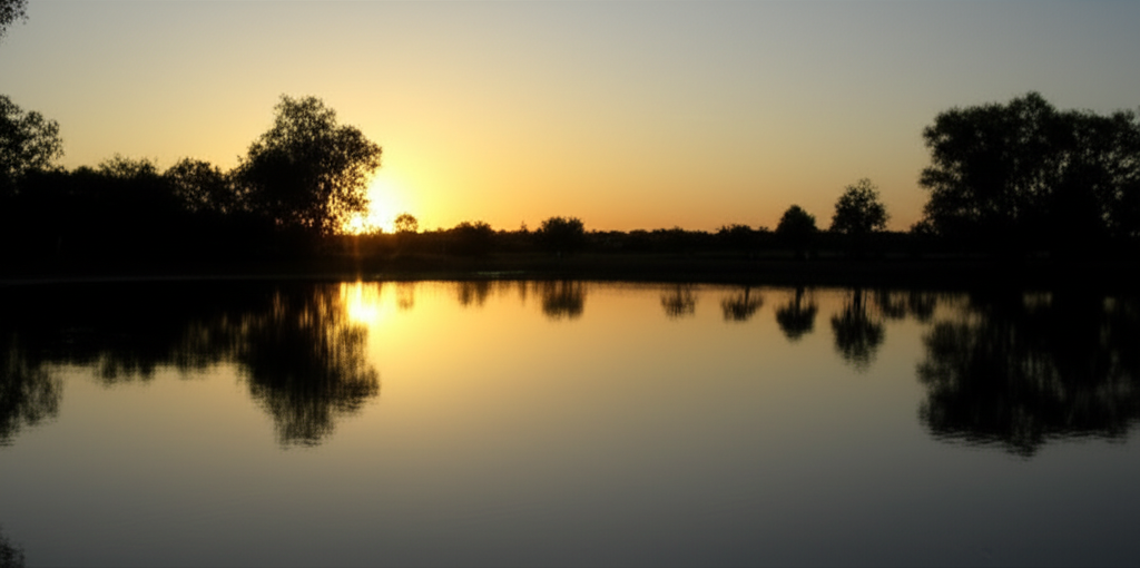 Apartheid Entre Luz e Trevas: Um Chamado à Reflexão e à Transformação
