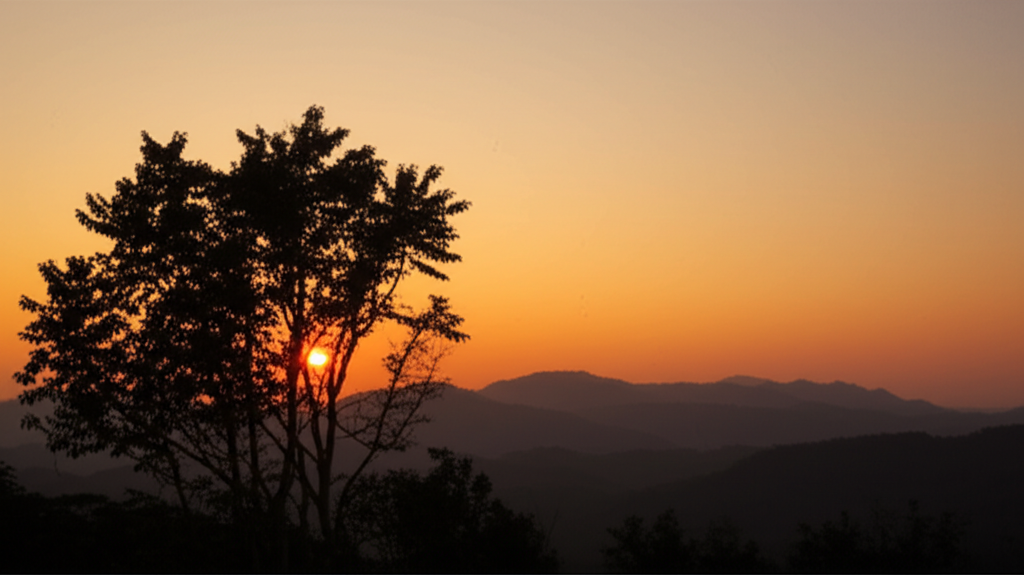 Raízes de Identidade: Encontrando o Nosso Lugar no Plano de Deus