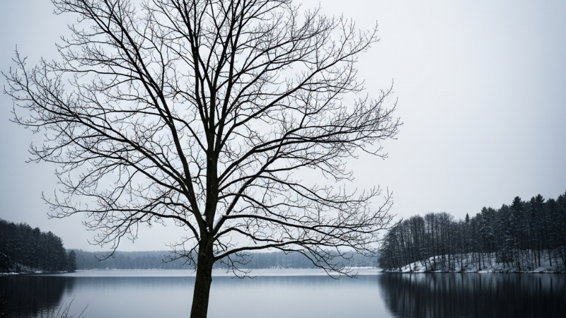 O Poder da Narrativa em Winter Trees, de Sylvia Plath