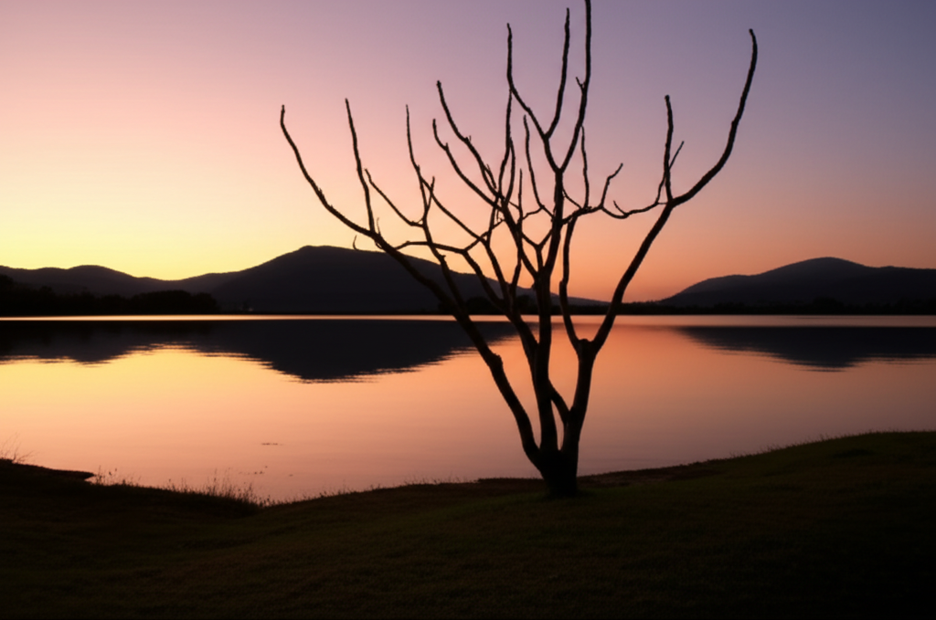 Na Solidão, um Chamado ao Refúgio de Deus