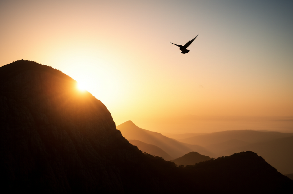 Deus Julgará: Uma Reflexão sobre Justiça e Propósito