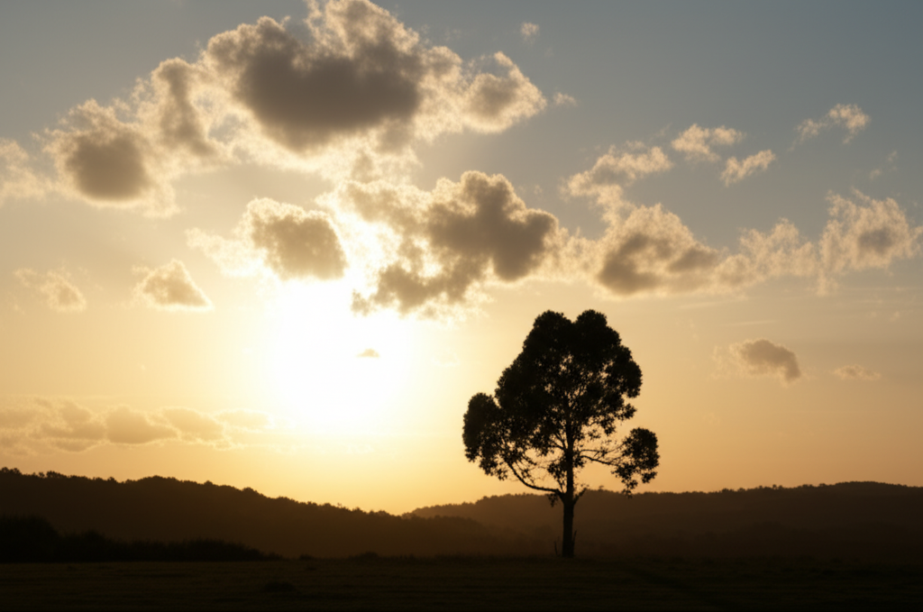 Um Sinal da Providência Divina: Encontrando a Esperança em Tempos de Incerteza